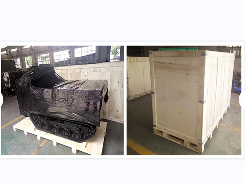 1 Ton Crawler Transporter Dump Trucks