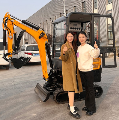 2-тонные мини-экскаваторы Гусеничные экскаваторы